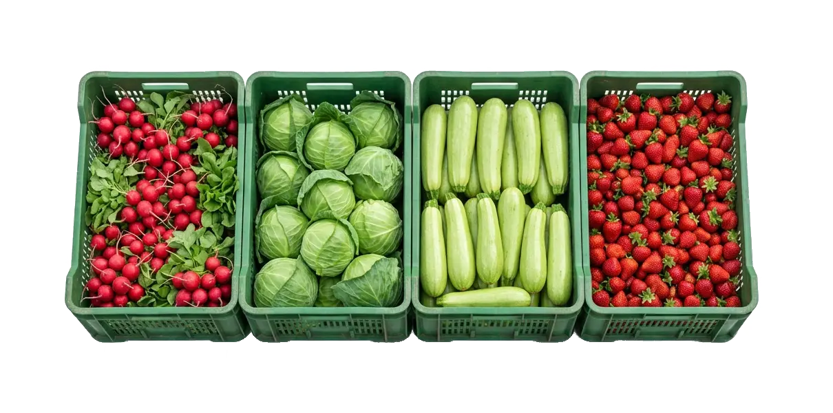 ТОНН ПРОДУКЦІЇ НА РІК